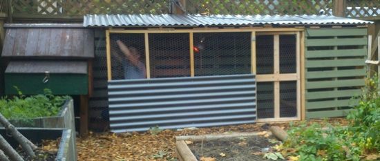 How To Make A Chicken Coop Out Of Wood Pallets With Paypal Reviews ...