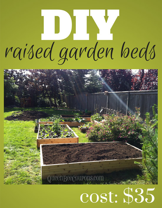 Raised Beds How To Build Raised Garden Beds For 35
