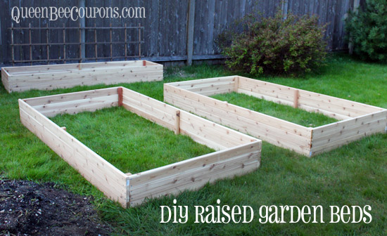 Raised Beds How To Build Raised Garden Beds For 35