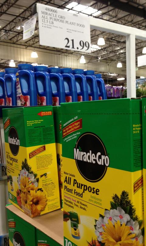 Costco Garden Deals - Plant prices, planters, Miracle Gro 